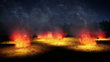 Fototapeta na wymiar burning natural grass field at night, 3d rendering