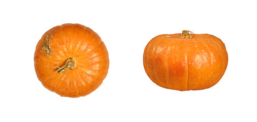 Two isolated orange natural pumpkins on a white background: top view and front view