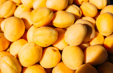 Fototapeta na wymiar Bright juicy yellow apricots on a farmer's market stall