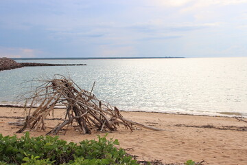 Fototapeta na wymiar Driftwood pile on Cullen Beach, Darwin, Northern Territory, Australia.