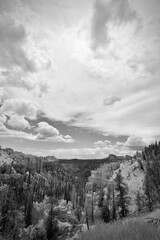 Bryce Canyon Monotone