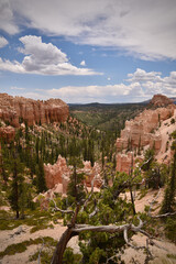 Bryce Canyon