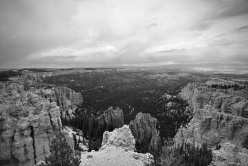 Bryce Canyon Monotone