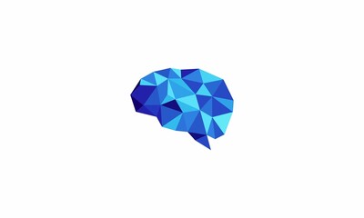 brain polygon
