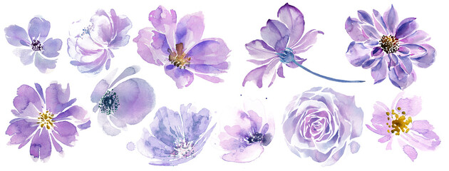 Very peri flowers clip-art. Purple flowers on a white background. Hand-painted abstract botanical illustrations bundle.