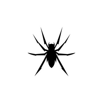 Spider icon logo vector design