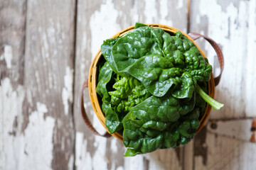 Large Fresh Spinach Leaves in a Basket on Barn Wood