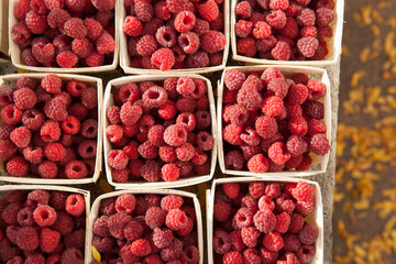 Pints of Raspberries in the morning sun
