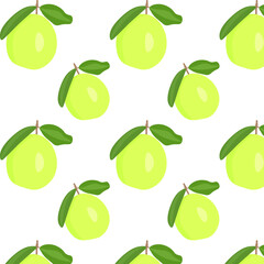 Psidium Guajava vector illustration seamless pattern fresh green guava (tropical fruit) on white background logo symbol design poster flyer clothing design wrapping paper