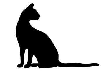 black silhouette of a cat, on a white background, side view - 515094609
