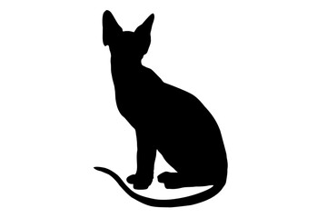 black silhouette of a sphinx cat, on a white background