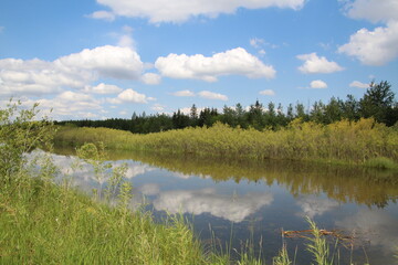 Fototapeta na wymiar Summer Waters, Pylypow Wetlands, Edmonton, Alberta