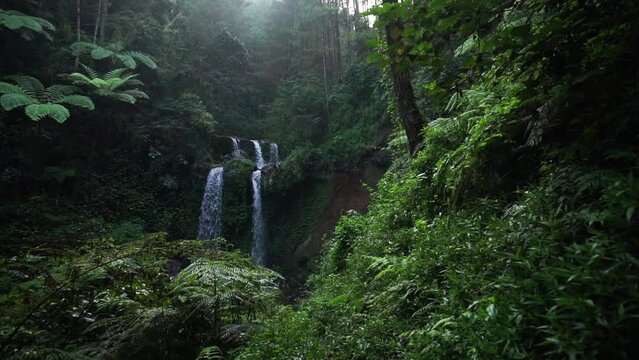 beautiful view through the dense green jungle in indonesia on the grenjengan kembar waterfall