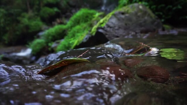 beautiful close up shot of a small crystal clear water flowing over a rock in the jungle of Indonesia