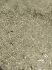 texture of the sand