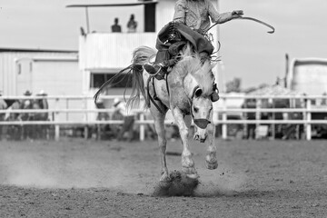 Cowboy On Bucking Bronc