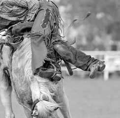 Cowboy On Bucking Bronco At Rodeo