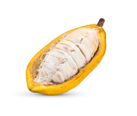 Fresh cocoa isolated on white