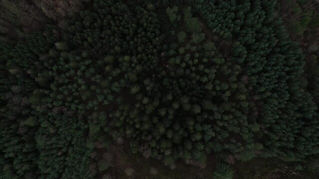 Aerial Over the Hills Covered with Forest in Himmelbjerget Area, Denmark