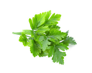 Parsley herb isolated on white