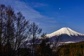 月明りと富士