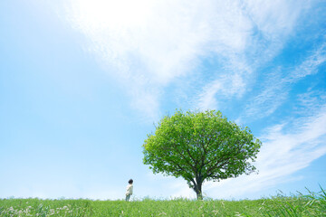 一本の木のある草原に立つ子供