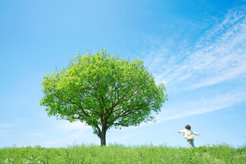 一本の木のある草原で手を広げる子供