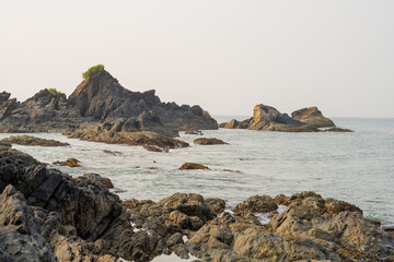 Fototapeta na wymiar big rocks and grass on the rocks in ocean at beach