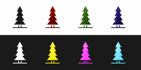 Set Canadian spruce icon isolated on black and white background. Forest spruce. Vector