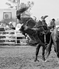 Cowboy Falling Off Wild Horse At Rodeo - obrazy, fototapety, plakaty
