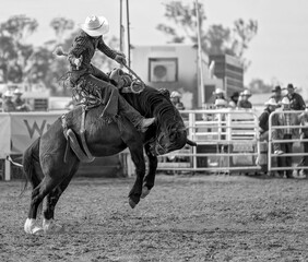 Saddle Bronco Riding At Country Rodeo