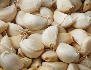 黒にんにく　健康食品