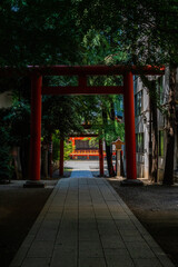 Naklejka premium 鳥居