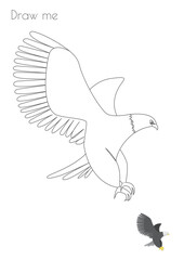 Eagle Simple Stroke Bird Silhouette Photo Drawing Skills For Kids A3/A4/A5 suitable format size. Print it by yourself at home and enjoy!