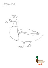 Duck Simple Stroke Bird Silhouette Photo Drawing Skills For Kids A3/A4/A5 suitable format size. Print it by yourself at home and enjoy!