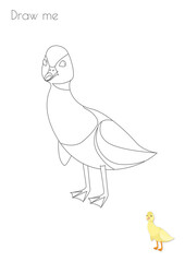 Little Duck Simple Stroke Bird Silhouette Photo Drawing Skills For Kids A3/A4/A5 suitable format size. Print it by yourself at home and enjoy!