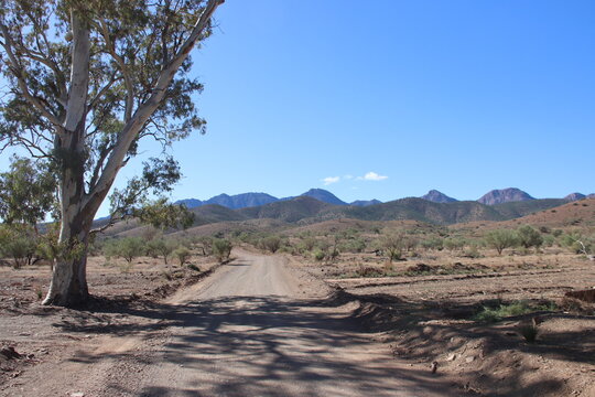 Gravel road in the Flinders Ranges, South Australia.
