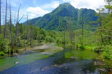上高地　岳沢湿原と六百山