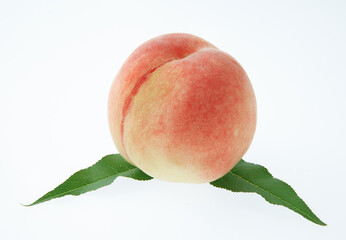 桃　　白バック　