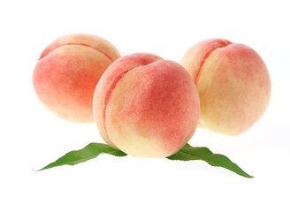 桃　　白バック　