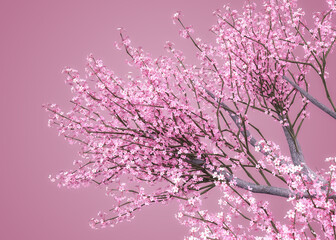 3D Sakura branches in pink