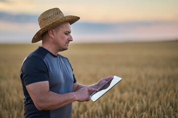 Farmer with a tablet in a wheat field