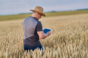 Farmer with a tablet in a wheat field