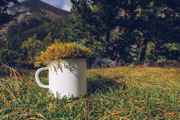 Enamel white mug in the mossy wood mockup. Trekking merchandise and camping gear marketing photo. Stock wildwood photo with white metal cup. Rustic scene, product mockup template. Lifestyle outdoors.