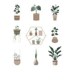 House plants series.Potted Plants Collection. hand drawn,decor,tree,Vector illustrations.