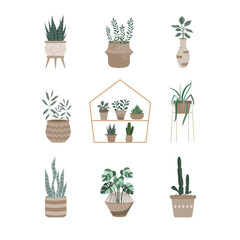 House plants series.Potted Plants Collection. hand drawn,decor,tree,Vector illustrations.