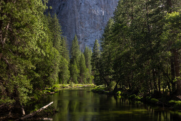 Fototapeta na wymiar Scenic view of famous Yosemite Valley green river on a beautiful sunny day, Yosemite National Park, California, USA