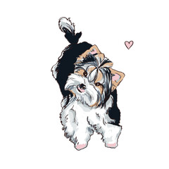 Beaver York lying down. Cute puppies illustration. Digital hand art. Little cute domestic dogs. yorkshire terrier