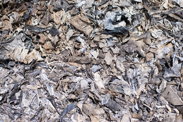 texture of the bark