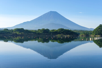 山梨県富士五湖のうちの一つの精進湖と富士山